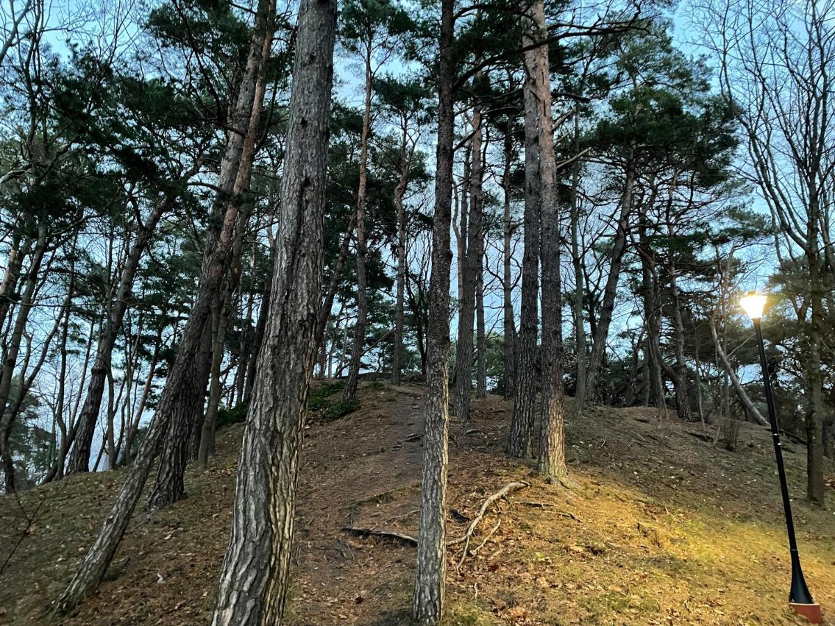 Daukanto Apartmentas Palanga Esterno foto